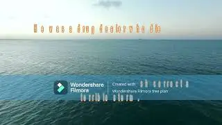 Mysterious deaths of people in the ocean.