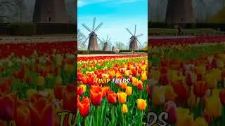Wonders of The Netherlands | The Most Amazing Places in The Netherlands | Travel Guide
