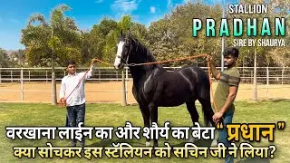 क्या संदेश दिया सचिन जी ने महाराष्ट्र के ब्रीडर्स को।।जबरदस्त एटीट्युड वाला स्टॅलियन प्रधान हाईट 64+