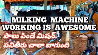 PART :2 MILK COLLECTING MACHINE WORK IS AWESOME ,పాలు పిండే మిషన్ పనితీరు చాల బాగుంది