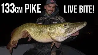 NIEUW PR! 133cm MONSTER Snoek LIVE AANBEET OP FILM!