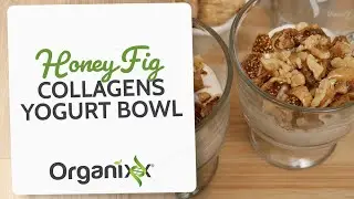 Honey Fig Collagens Yogurt Bowl