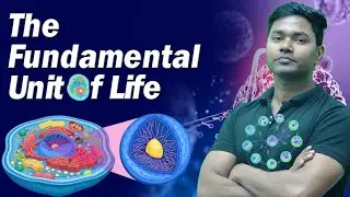 Cell Division Class 9 Biology | Chapter 5 Full Explanation by AMIT SIR #cbse #biology #class9