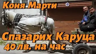 Спазариж каруца на ТОП цена - 40 лв.! ЗА ЕДИН ЧАС! Без вредни емисии! Коня е Марти!