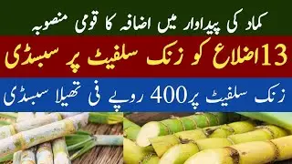Provision of subsidy on zinc sulphate for sugarcane crop | AGRICULTURE WORLD