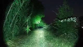Brinyte PT16 Flashlight &ndash; Night Walk Output Modes Demo