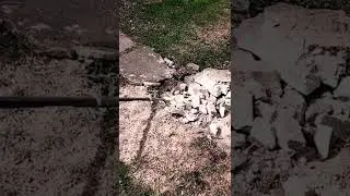 family yard work.... gone wrong??  NAHH it's a skook thing.