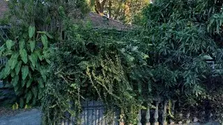 Urbex in strange Sydney property at Rhodes