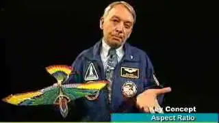 Connections to Aviation: Bird Flight Demonstrates Aspect Ratio