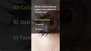 Which creature has the largest eyes relative to its body size? |#sciencefather #Research Awards