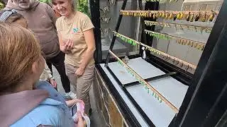 DJI 20260107110208 0074 D