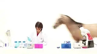 Make your horse a winner