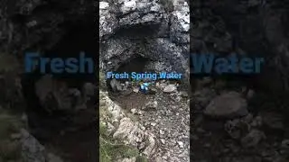 Discovering Fresh Spring Water💧