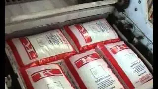 Pa3100 High speed bags palletizer