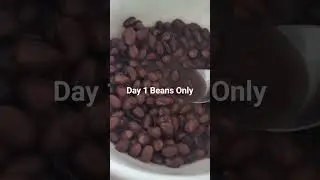 day 1: beans only weight loss starting at 170 lbs #2023 #beansonly #weightloss #weightlossjourney