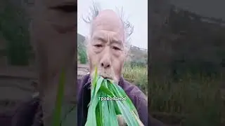 ПРОШЁЛ GTA БЕЗ УГОНА АВТО