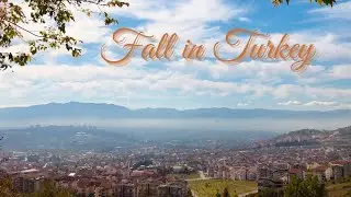 Fall in Izmit, Turkey (ancient Nicomedia) | Relaxing video | Cinderella's backyard! 🎃🍁