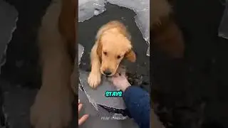 #trend
