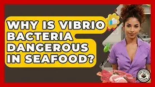 Why Is Vibrio Bacteria Dangerous In Seafood? - Food Safety Kitchen