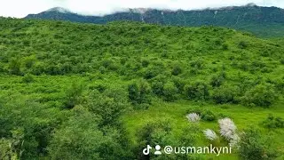 Hoon village 