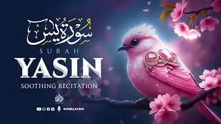 Surah Yaseen (Yasin) (سورة يس) | Stress Relief & Deep Sleep Quran Recitation #love