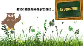 La Consoude