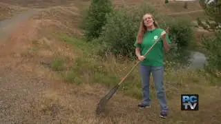 Pierce County Parks & Recreation: Parkland Prairie & Companionship Trail Exploration