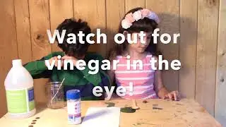 How to Clean Pennies!