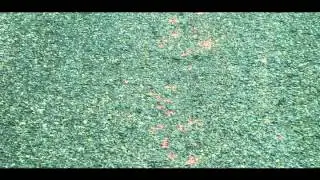 Технология Reclamite