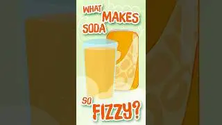 Why Soda Bubbles Pop and Fizz 🫧🥤#nakirasworld #scienceforkids