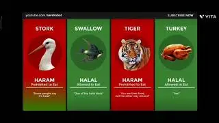 Halal and Haram animals in Islam Explained