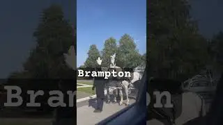 Wedding in Brampton Canada #shortsvideo #brampton #weddingvideo