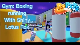Ropets: Celebrating Gym update with shiny evolved dream pet🦊 role play with my Lotus💪🥊🍌!