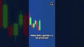 How Crypto Whales Manipulate the Market ⚠️🐳 #shorts