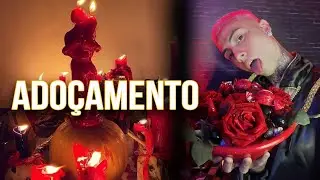 ADOÇAMENTO AMOROSO TRAZ EX DE VOLTA?