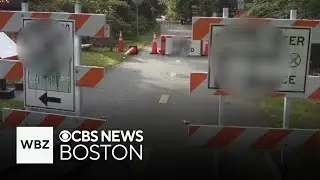 Police investigate swastikas spraypainted on signs in Natick