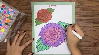 Easy ASMR Spring Floral Coloring with SNColoring