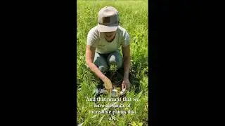 Exploring a Fen - With VLT's Allaire Diamond