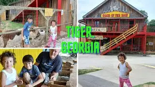 Goat on the Roof at Tiger, Georgia | Farm animal | Feeding the goat | Gem Mining | Georgia