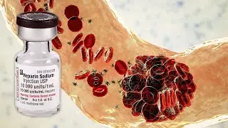 Medical Importance of Heparin