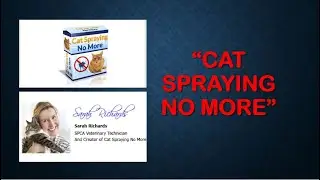 Cat Spraying No More