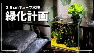 【アクアリウム】スタイリッシュ！そしてめちゃくちゃ簡単に水上育成ができる！「LEAFIT」