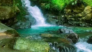 Невероятно Расслабляющий Звук Реки 🌊 ASMR для Сна и Медитации