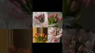 i will propose you with 🌷 || #aestheic #viral #shortvideo #rose #love #y2k