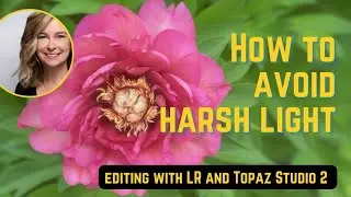 How to avoid harsh light in garden photography | Flower image edit using LR and Topaz Studio 2