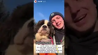 Dla nich właśnie zaczęło się nowe życie 🐶❤️ #hodowla #dog #help #shorts #dioz #fundacjajudyta