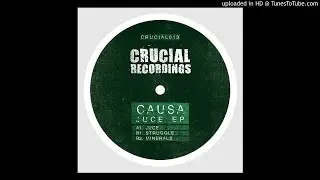 Causa - Struggle