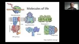 Protein sequence design by explicit energy landscape optimization