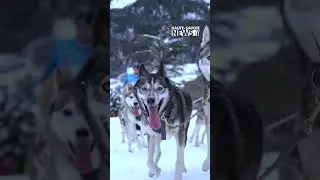 16/01/2024 - Savoie News - &Eacute;tape 3 de la Grande Odyss&eacute;e VVF 2024 &agrave; Bernex