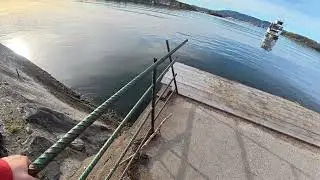 На острове Gressholmen